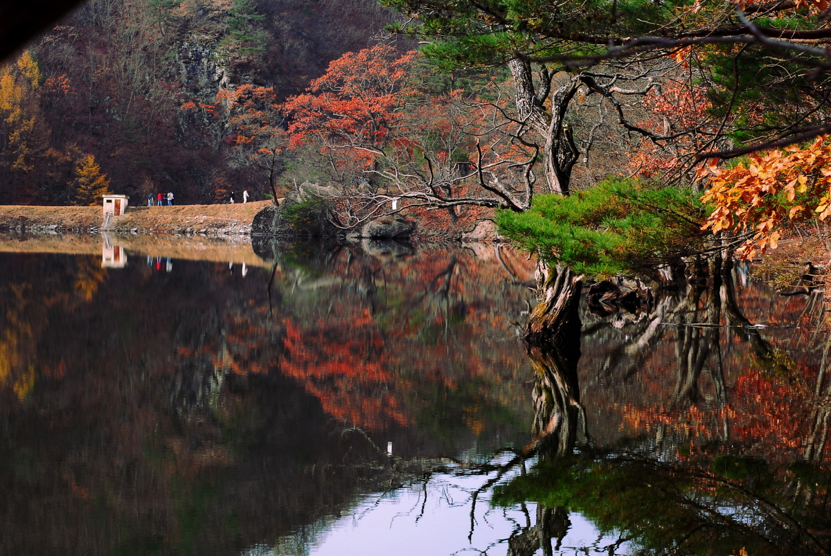 주산지