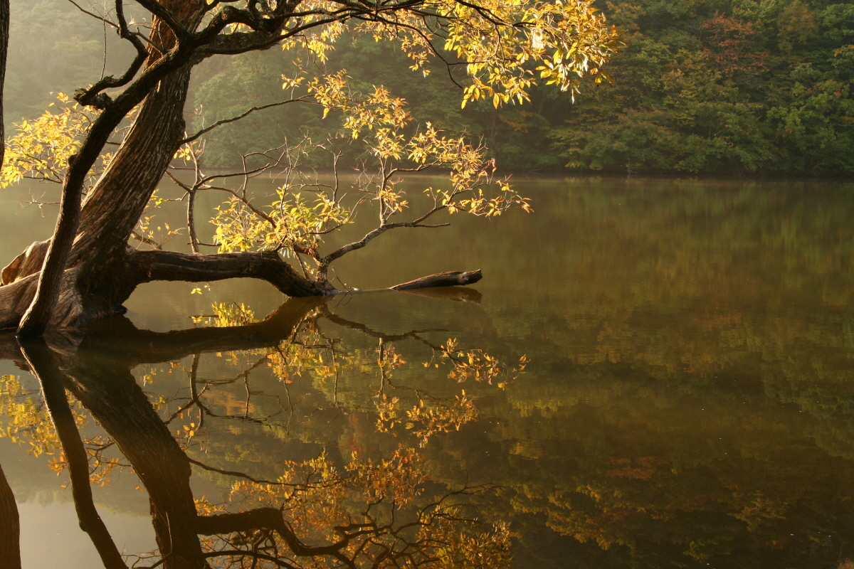 주산지