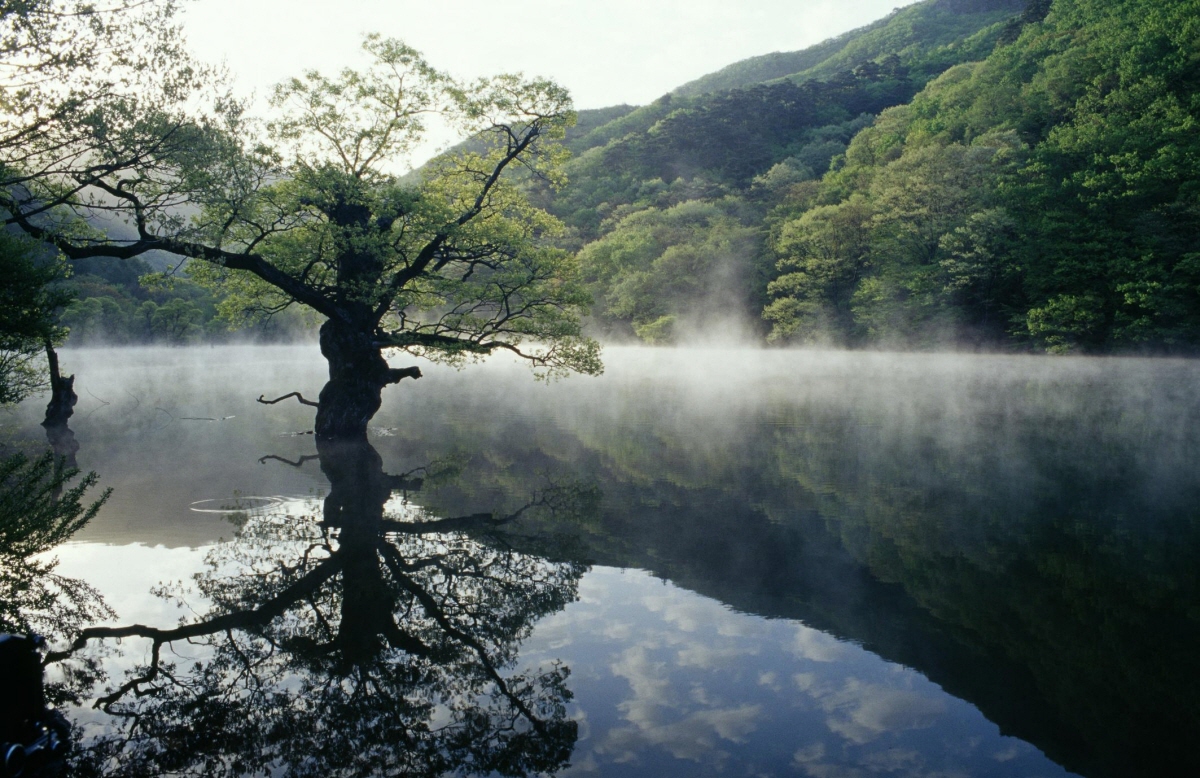 주산지