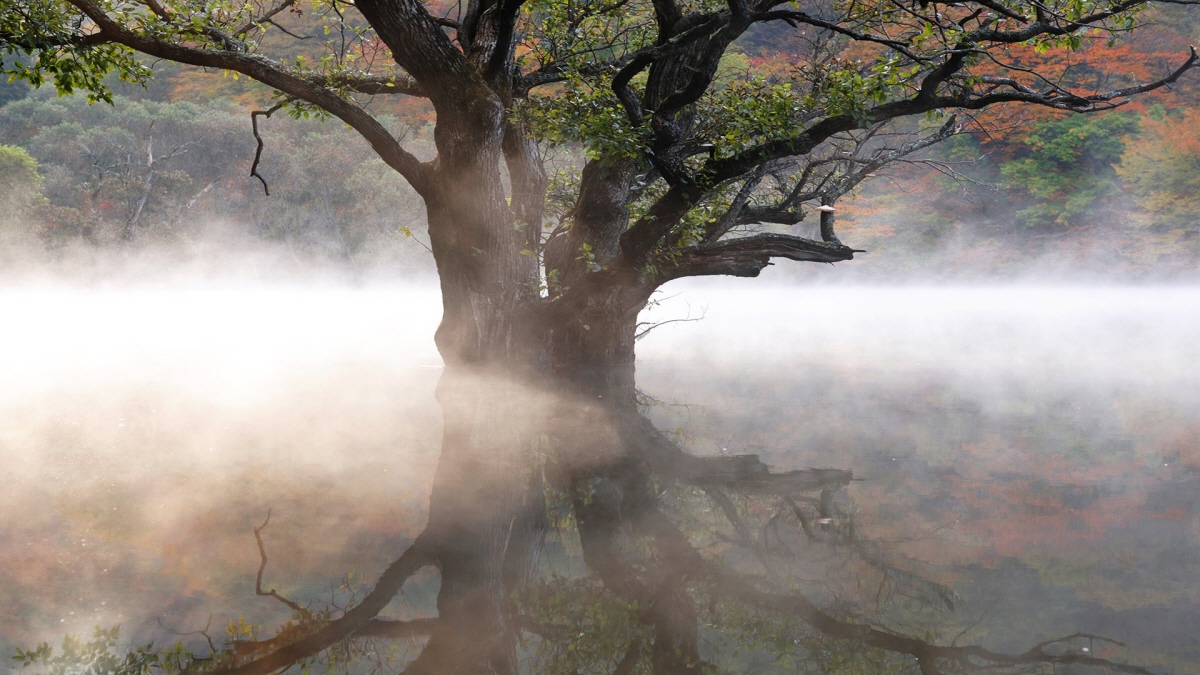 주산지