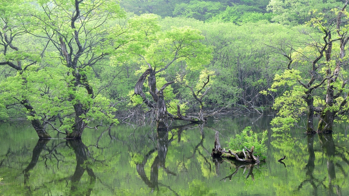 주산지