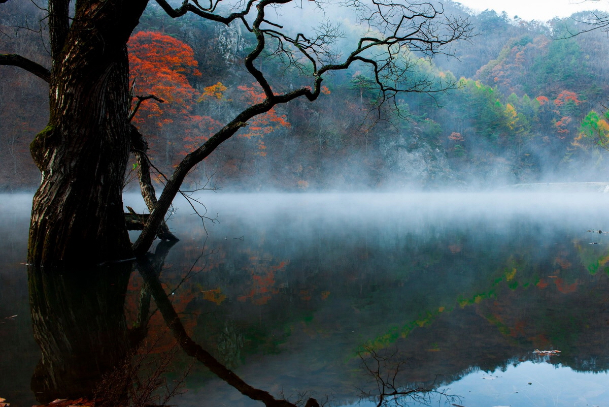 주산지