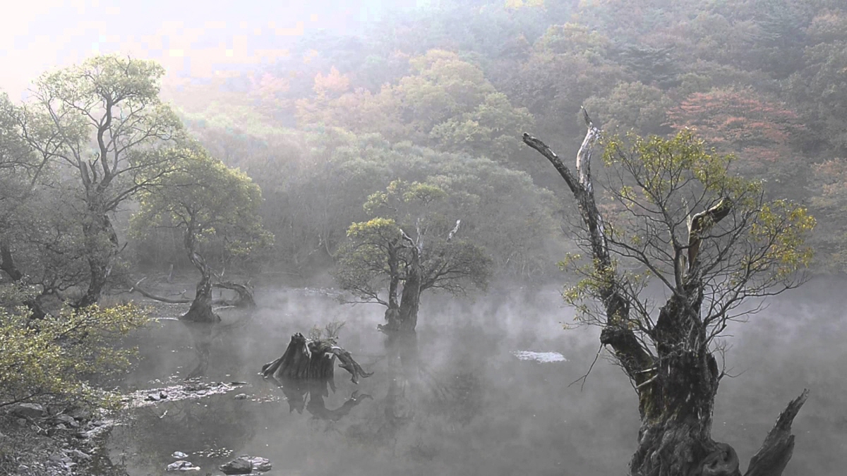 주산지